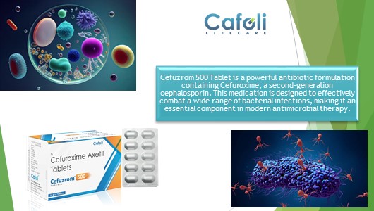 Cefuzrom 500 Tablet at Best Price in Antibiotics Pharma Franchise for Antibiotics & Bacterial Infections.